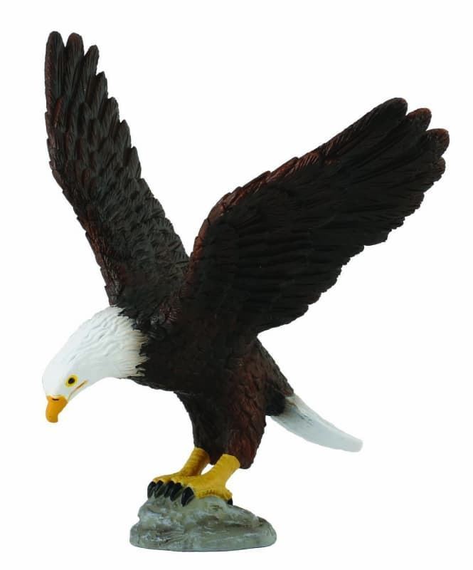 Águila americana - Imagen 1