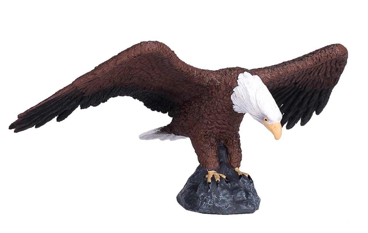 Águila calva americana - Imagen 1