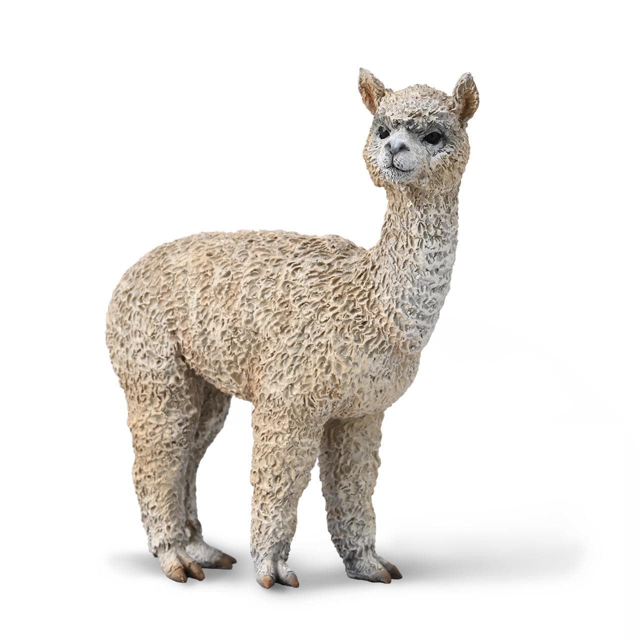 Alpaca - Imagen 1