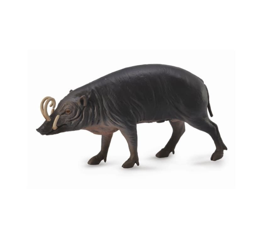 Babirusa - Imagen 1