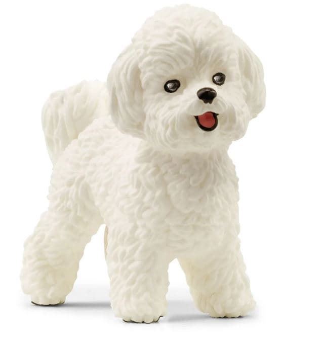 Bichón Frisé schleich - Imagen 1