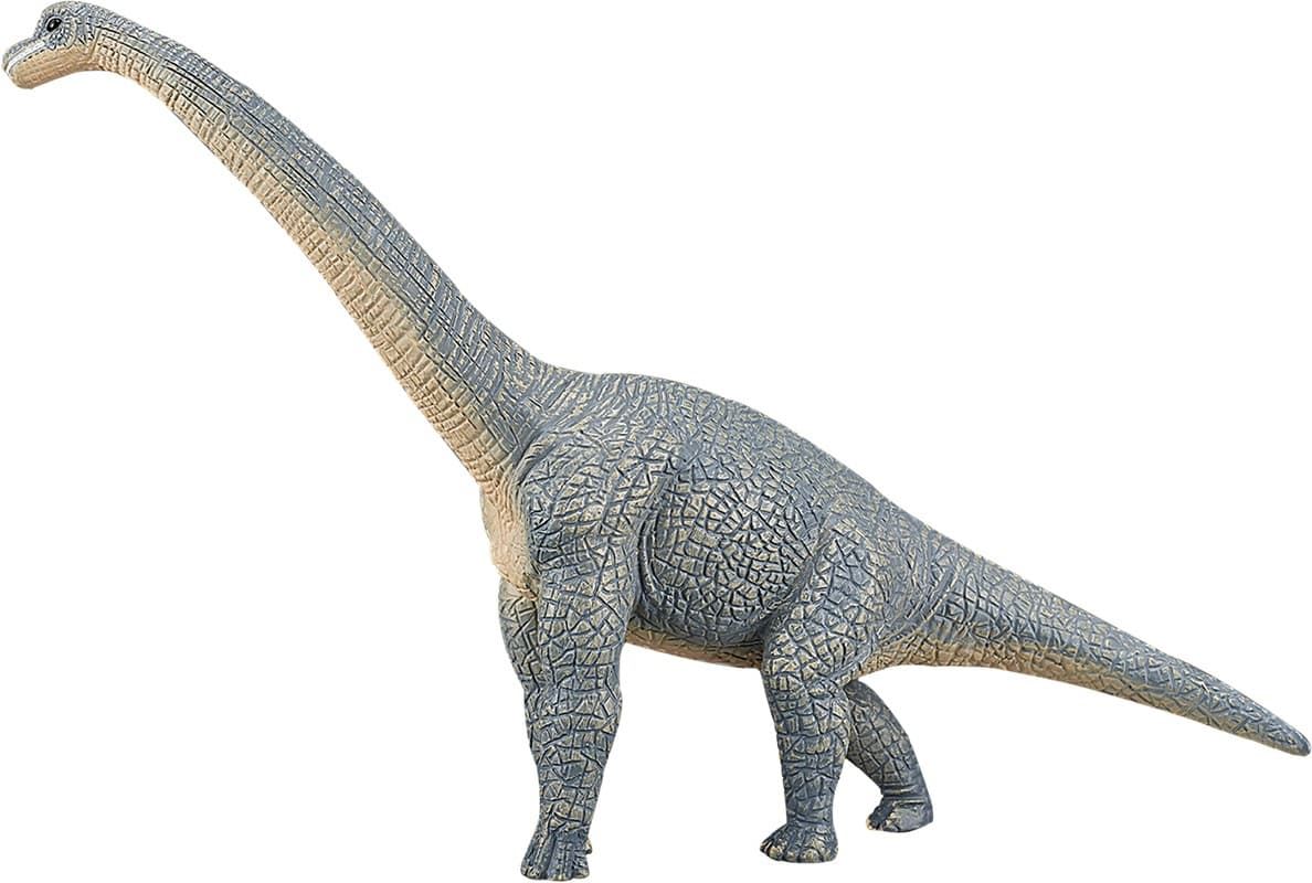 Brachiosaurus - Imagen 1