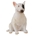 Bull terrier hembra sentada - Imagen 1