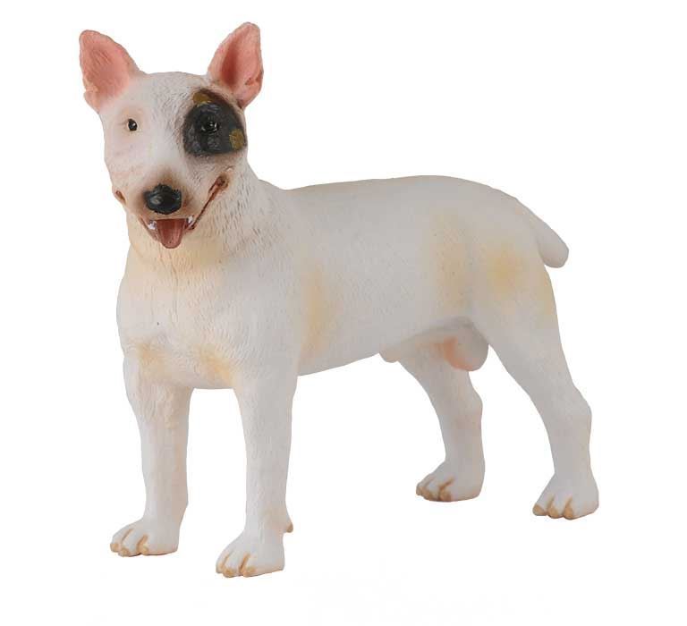 Bull Terrier - Macho - Imagen 1