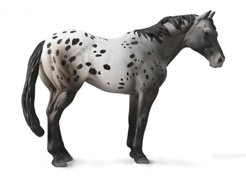 Caballo Appaloosa ruano azul - Imagen 1