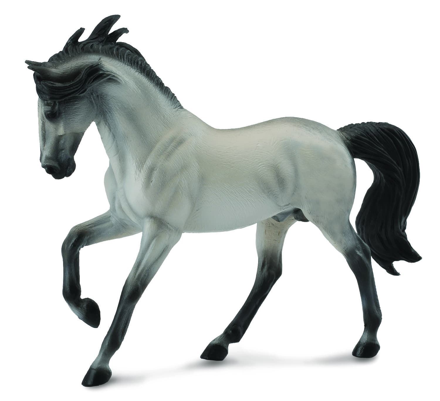 Caballo Semental andaluz gris - Imagen 1