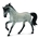 Caballo Semental andaluz gris - Imagen 1