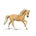 Caballo semental andaluz palomino - Imagen 1