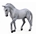 Caballo semental Trakehner gris - Imagen 1