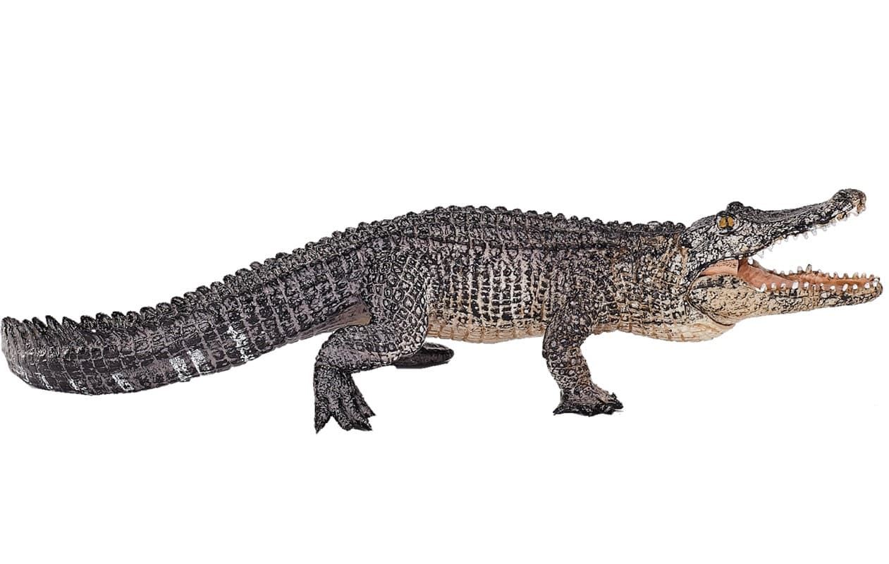 Caiman articulado - Imagen 1