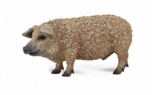 Cerdo mangalica - Imagen 1