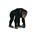 Chimpancé hembra - Imagen 1