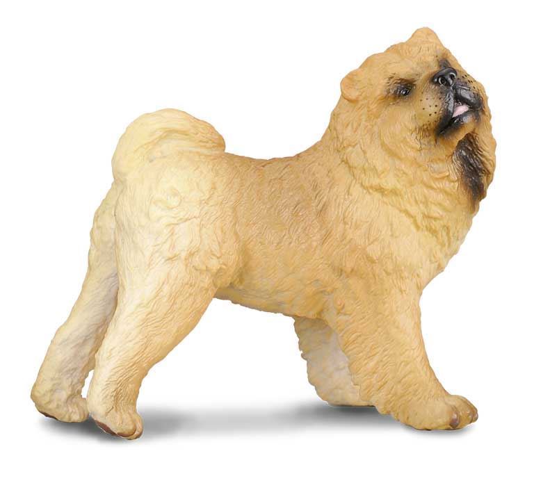 Chow Chow - Imagen 1