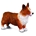 Corgi galés - Imagen 1