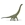 Dinosaurio de juguete Dreadnoughtus-Deluxe - Imagen 1