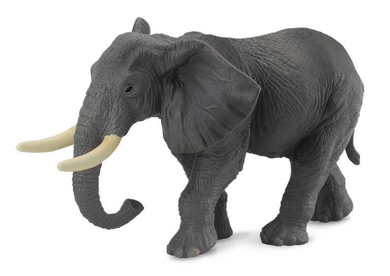 Elefante Africano - Imagen 1