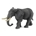 Elefante Africano - Imagen 1