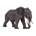 Elefante africano - Imagen 1