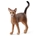 Gato abisinio schleich 13964 - Imagen 1