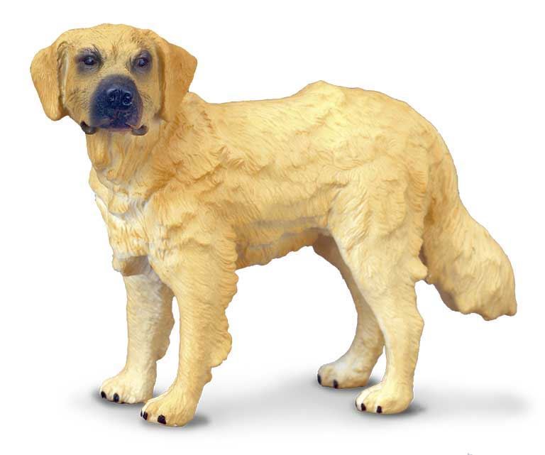 Golden Retriever - Imagen 1