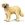 Golden Retriever - Imagen 1