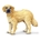 Golden Retriever - Imagen 1