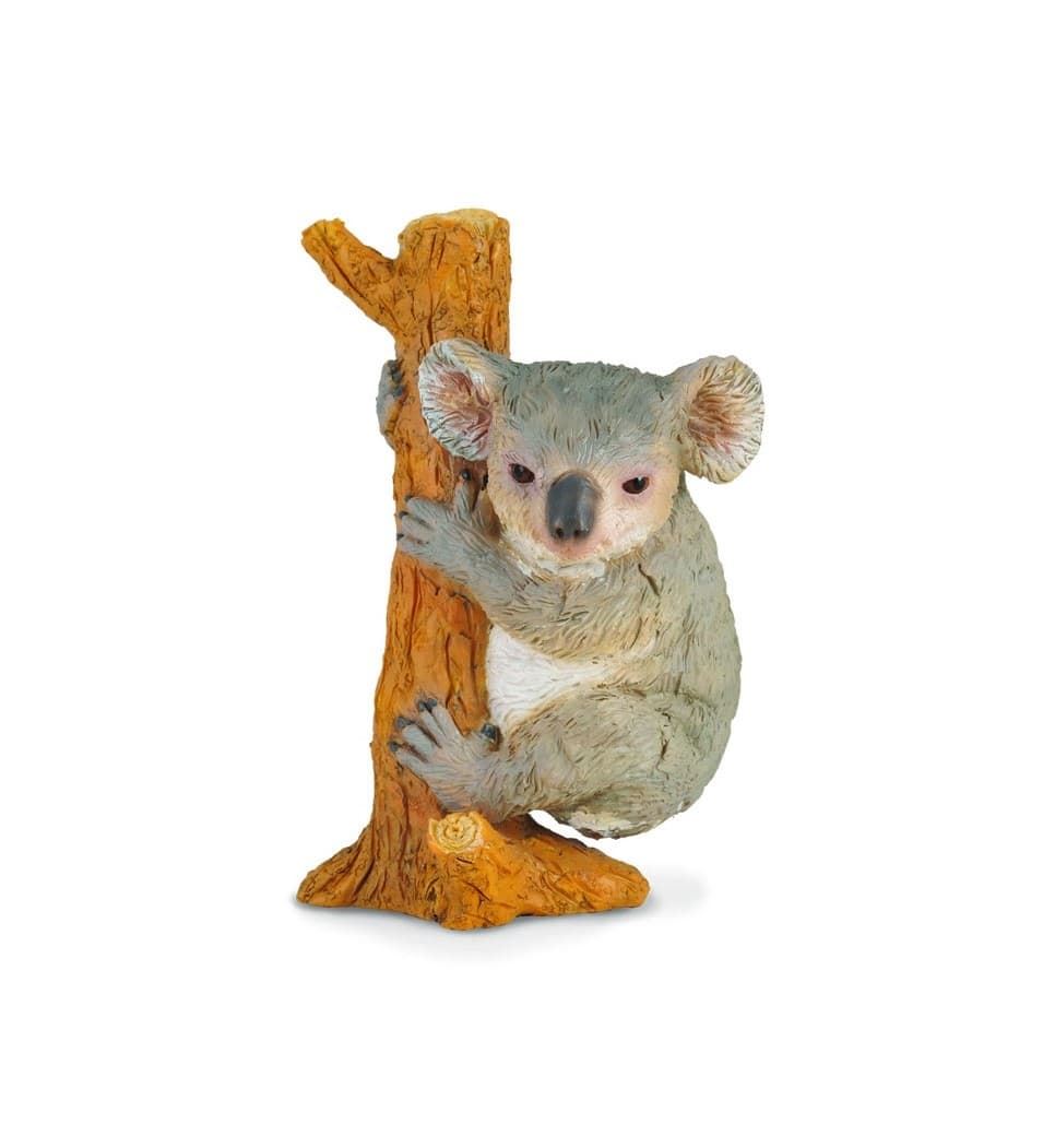 Koala trepando - Imagen 1