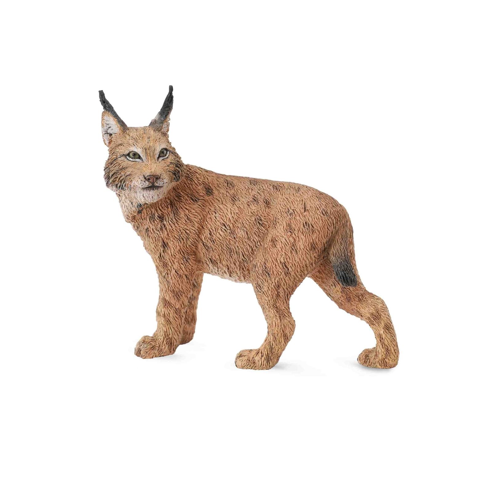 Lince - Imagen 1