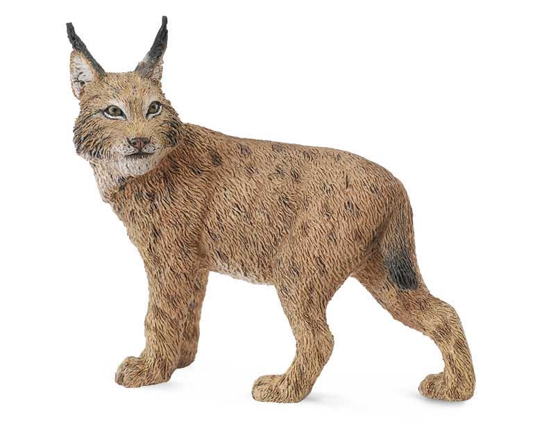 Lince - Imagen 1