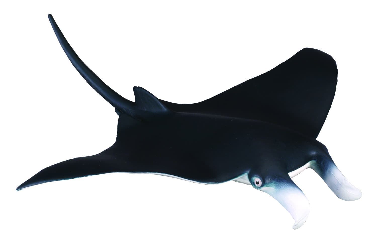 Manta gigante - Imagen 1