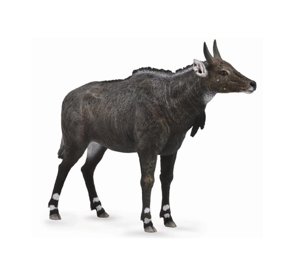 Nilgai - Imagen 1