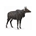 Nilgai - Imagen 1