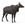 Nilgai - Imagen 1