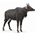 Nilgai - Imagen 1