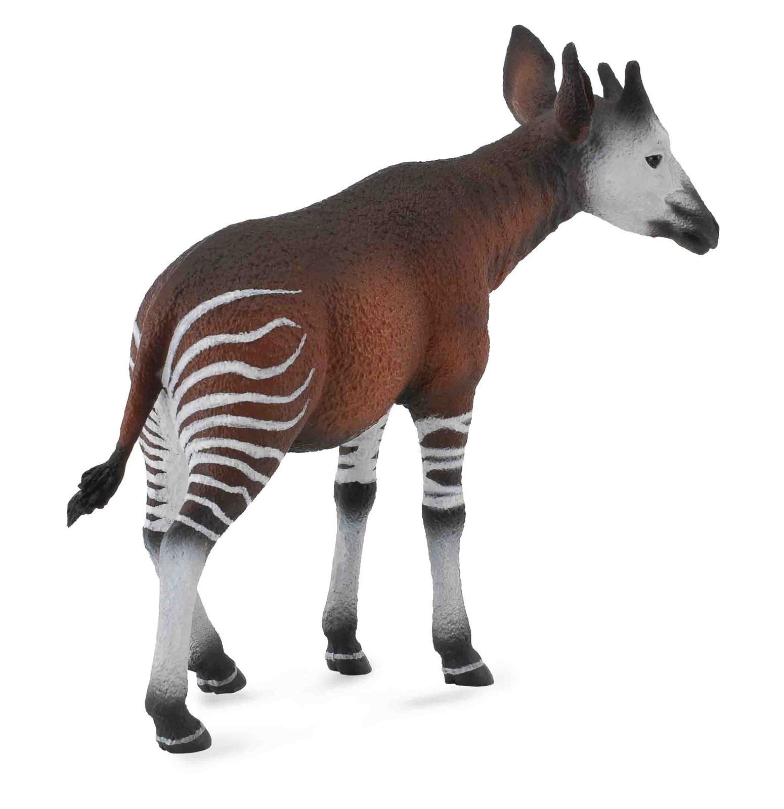 Okapi - Imagen 1