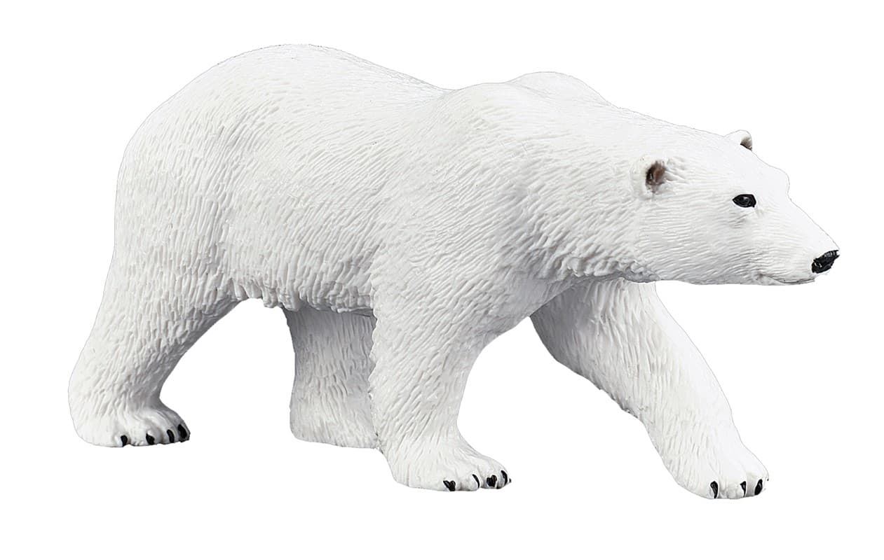 Oso polar - Imagen 1