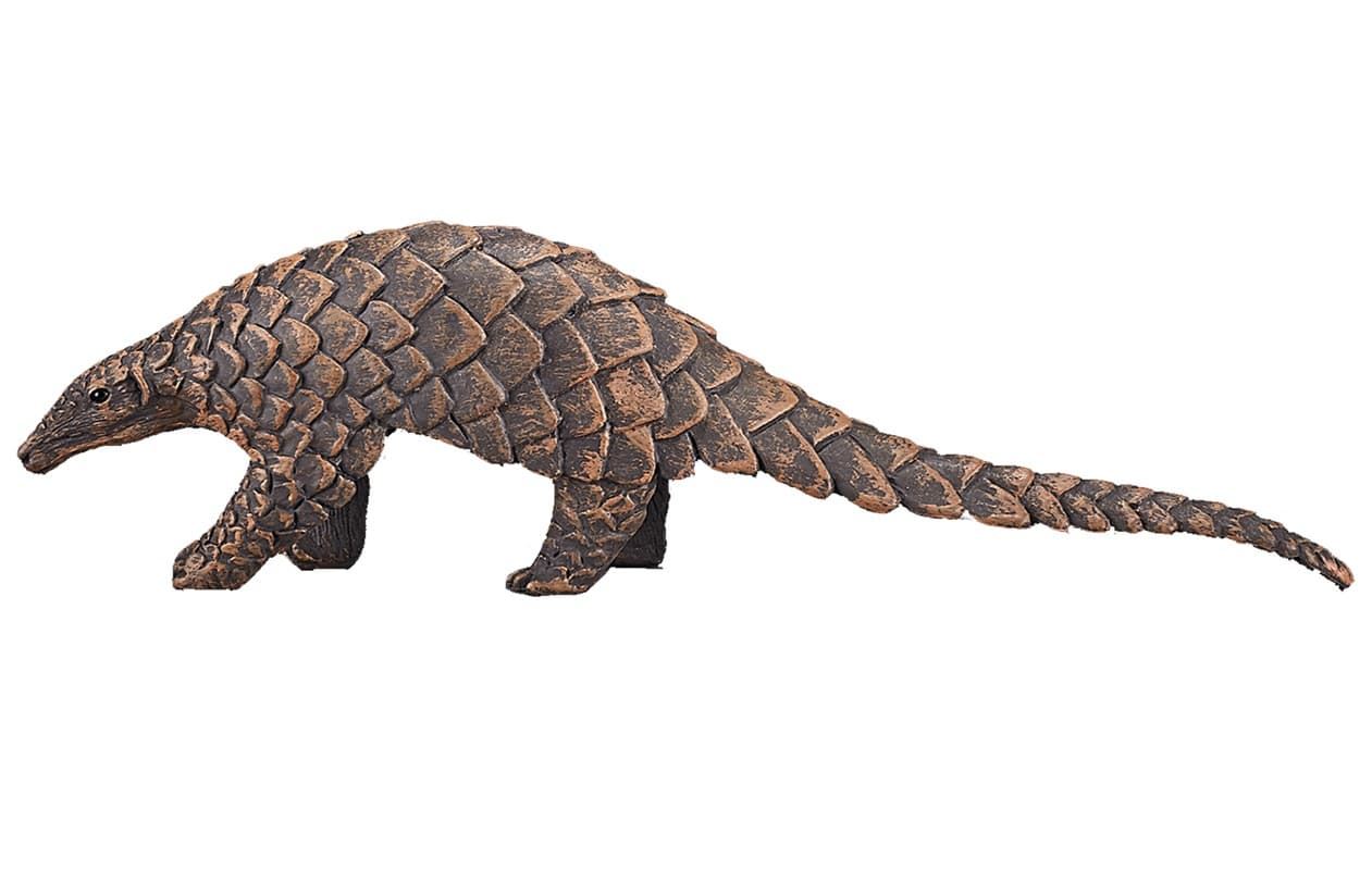 Pangolin indio - Imagen 1