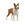 Perro de juguete bull terrier schleich 13966 - Imagen 1