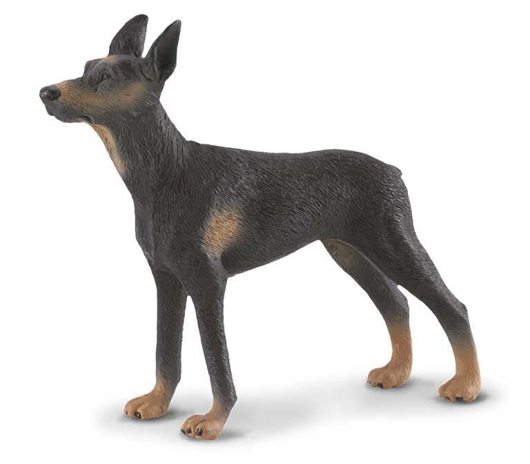 Perro de juguete Dobermann - Imagen 1