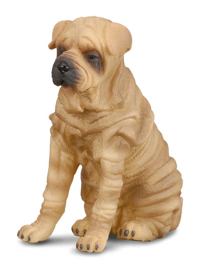 Perro de juguete Shar Pei - Imagen 1