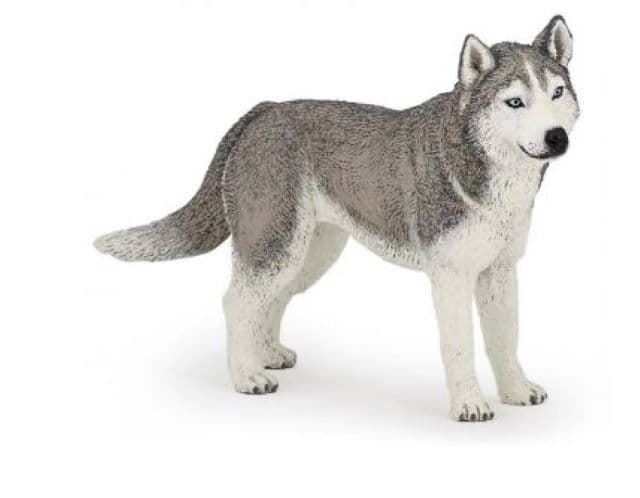 Perro Husky Siberiano De Juguete Papo 54035 - Imagen 1