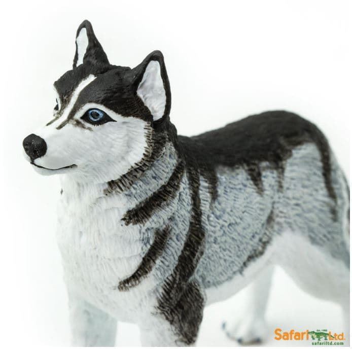 Perro Husky Siberiano De Juguete Safari 255229 - Imagen 2