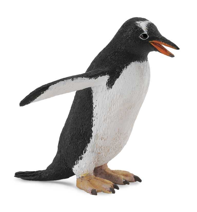 Pingüino Papua - Imagen 1