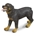 Rottweiler - Imagen 1