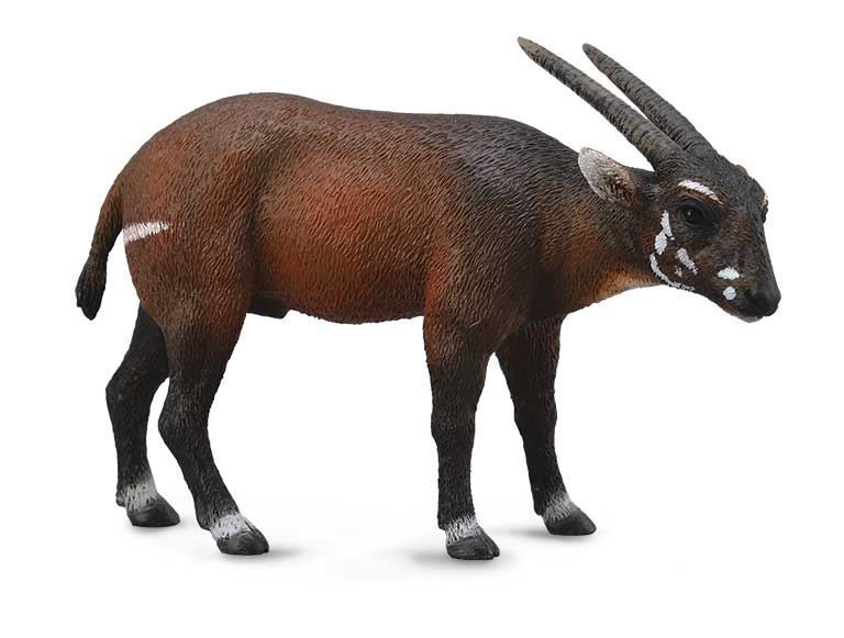 Saola - Imagen 1