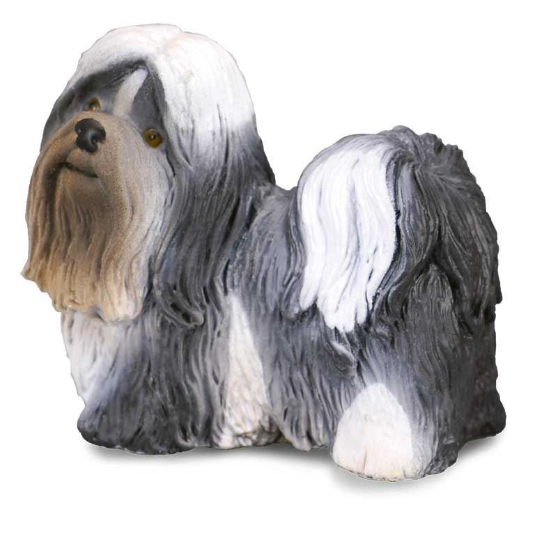 Shih Tzu - Imagen 1