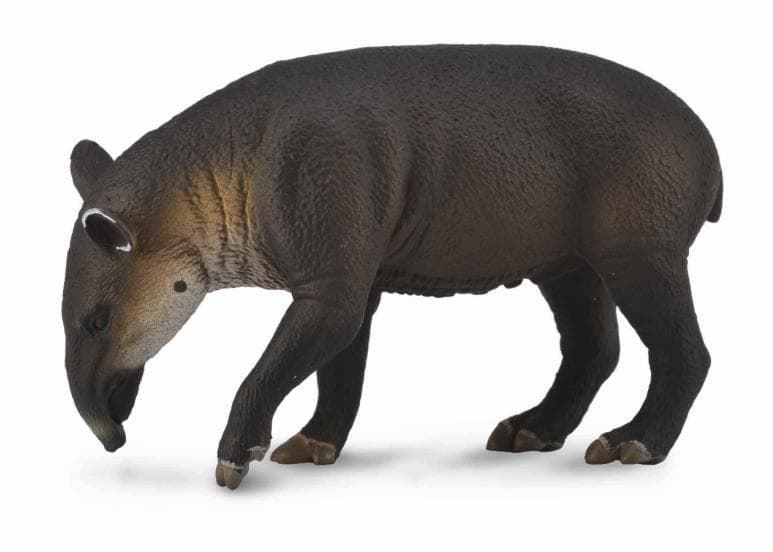 Tapir centroamericano - Imagen 1