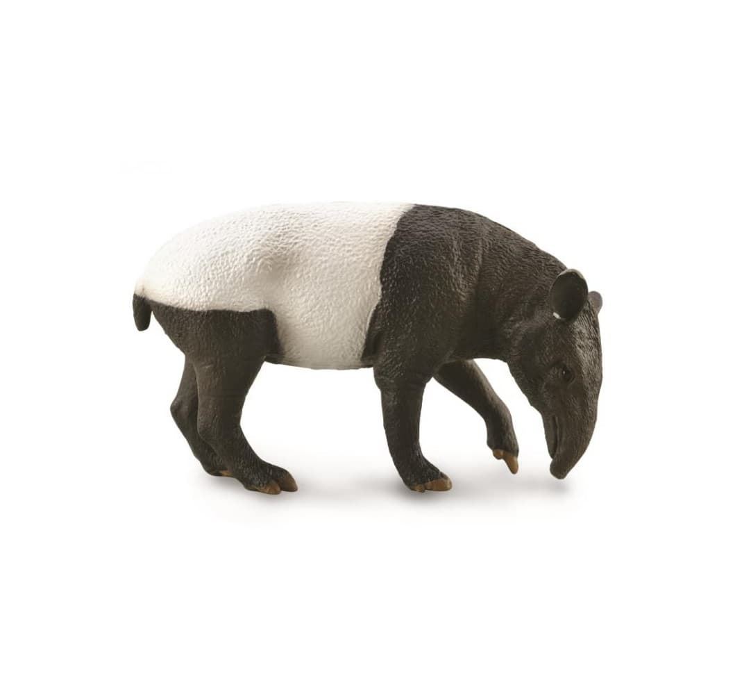 Tapir Malayo - Imagen 1