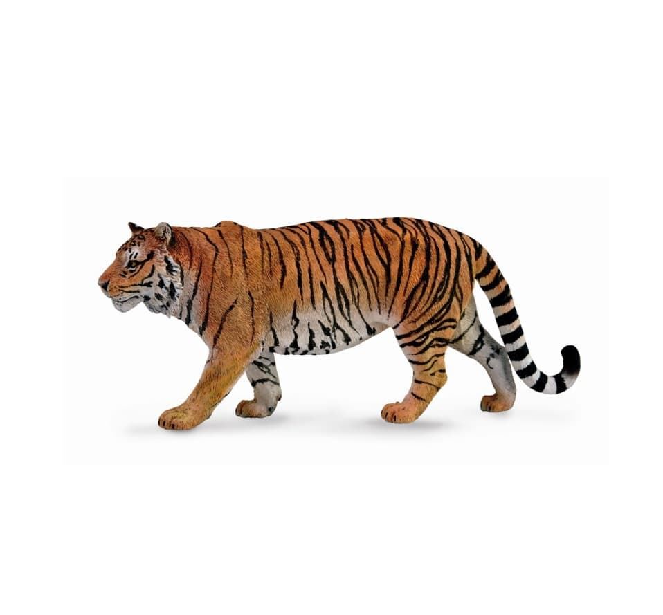 Tigre siberiano - Imagen 1