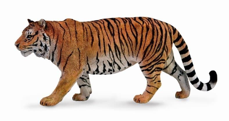 Tigre siberiano - Imagen 1